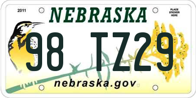 NE license plate 98TZ29