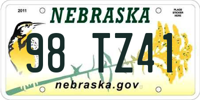 NE license plate 98TZ41