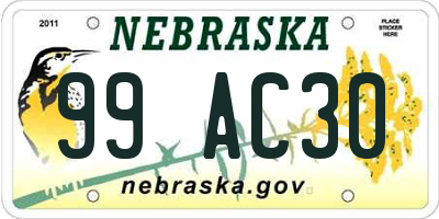 NE license plate 99AC30