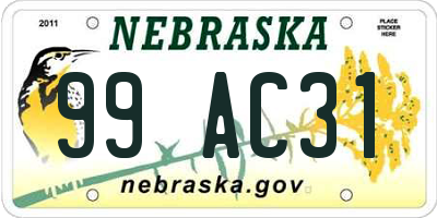 NE license plate 99AC31