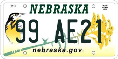 NE license plate 99AE21