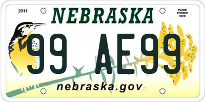 NE license plate 99AE99