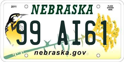 NE license plate 99AI61