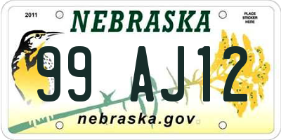 NE license plate 99AJ12