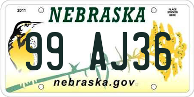 NE license plate 99AJ36