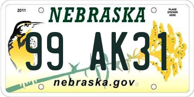 NE license plate 99AK31