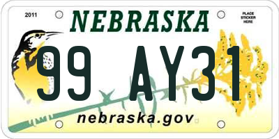 NE license plate 99AY31