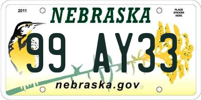 NE license plate 99AY33
