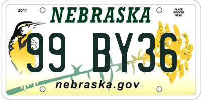 NE license plate 99BY36