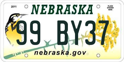 NE license plate 99BY37