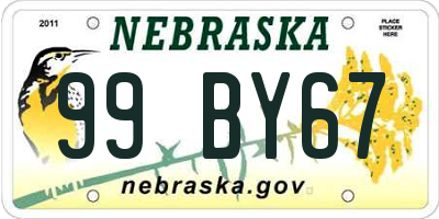 NE license plate 99BY67