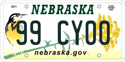 NE license plate 99CY00