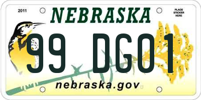 NE license plate 99DG01