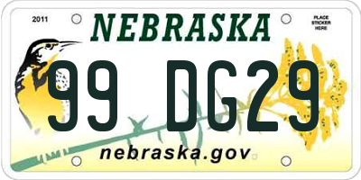 NE license plate 99DG29