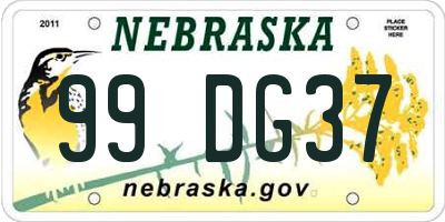 NE license plate 99DG37