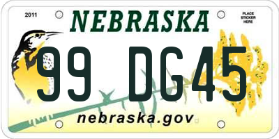 NE license plate 99DG45