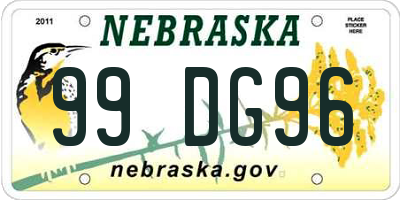 NE license plate 99DG96