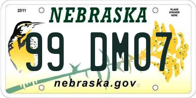 NE license plate 99DM07