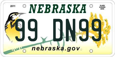 NE license plate 99DN99