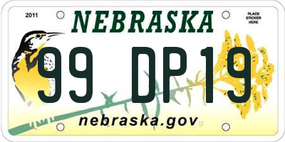 NE license plate 99DP19