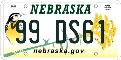 NE license plate 99DS61