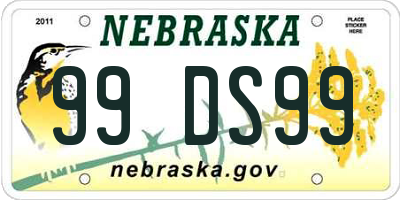 NE license plate 99DS99
