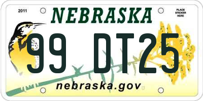NE license plate 99DT25