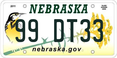 NE license plate 99DT33