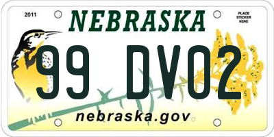 NE license plate 99DV02