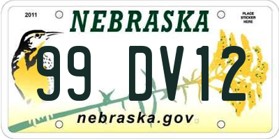 NE license plate 99DV12