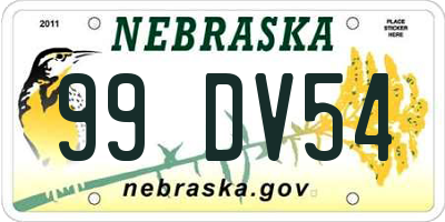NE license plate 99DV54