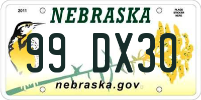 NE license plate 99DX30