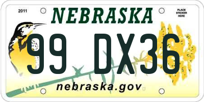 NE license plate 99DX36