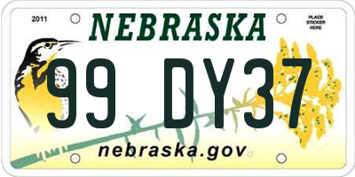 NE license plate 99DY37