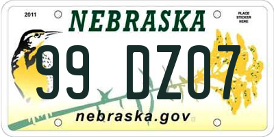 NE license plate 99DZ07
