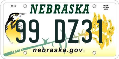 NE license plate 99DZ31