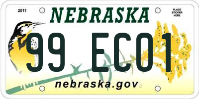 NE license plate 99EC01