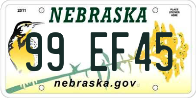 NE license plate 99EF45