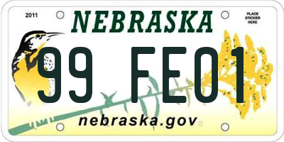 NE license plate 99FE01