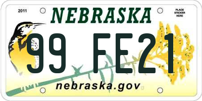 NE license plate 99FE21