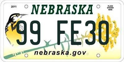 NE license plate 99FE30