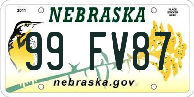 NE license plate 99FV87