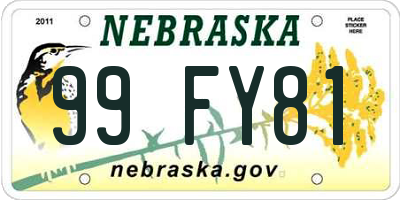 NE license plate 99FY81