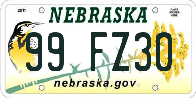 NE license plate 99FZ30