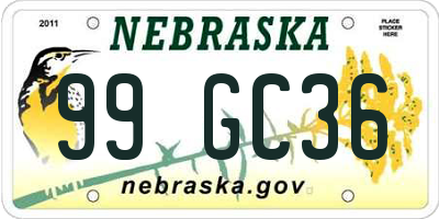 NE license plate 99GC36