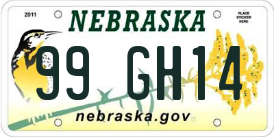 NE license plate 99GH14