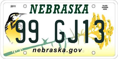 NE license plate 99GJ13