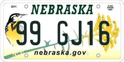 NE license plate 99GJ16