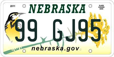 NE license plate 99GJ95