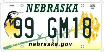 NE license plate 99GM18